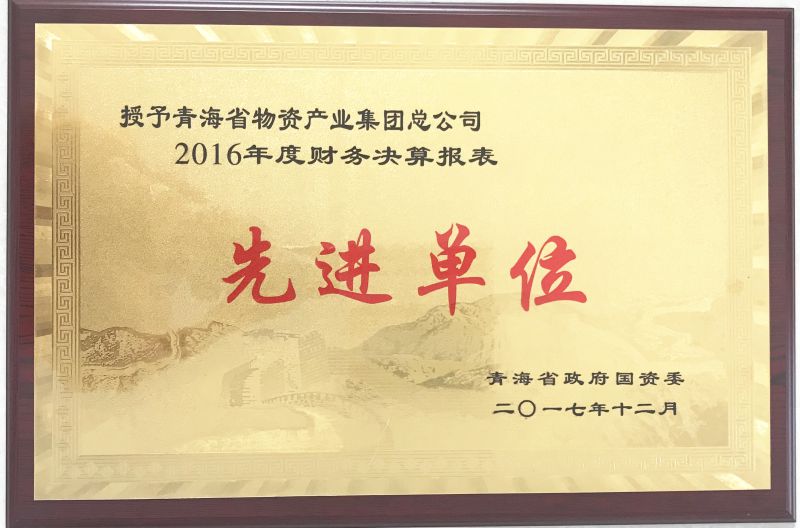 2016年度财务决算表先进单位