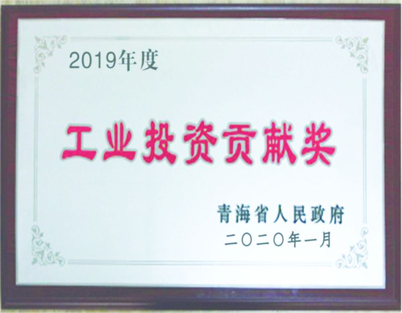 2019年度工业投资贡献奖