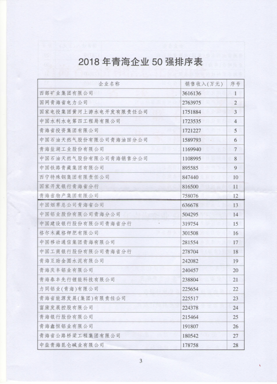 首页-新百胜公司网站连年入选青海企业50强